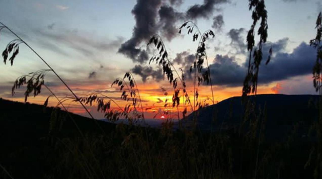 In Sicilia Da Ciro Acomodação com café da manhã Vita Exterior foto