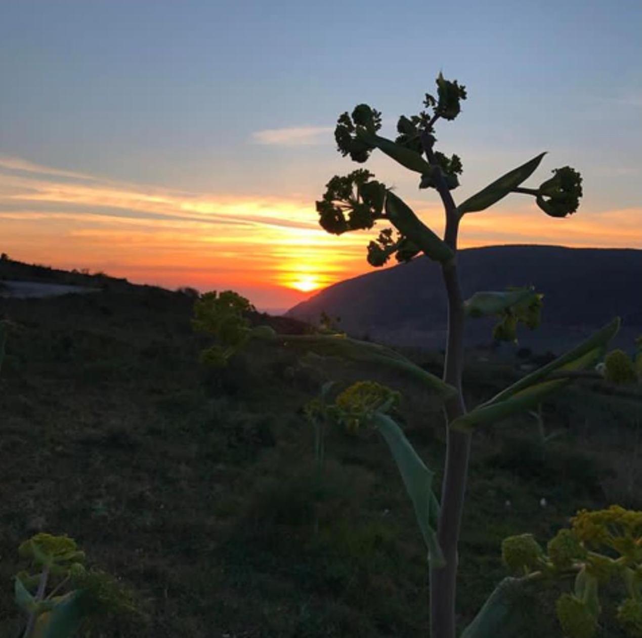 In Sicilia Da Ciro Acomodação com café da manhã Vita Exterior foto